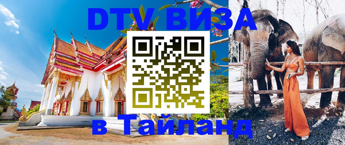 Оформление DTV визы под ключ: стоимость и тарифы, только загранпаспорт - 20.11.2025 